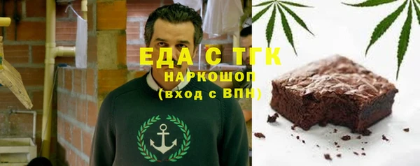 индика Осинники