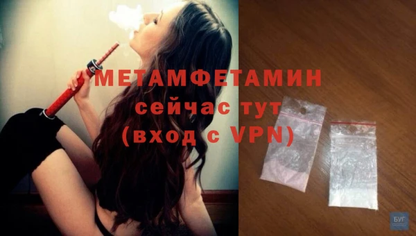 индика Осинники