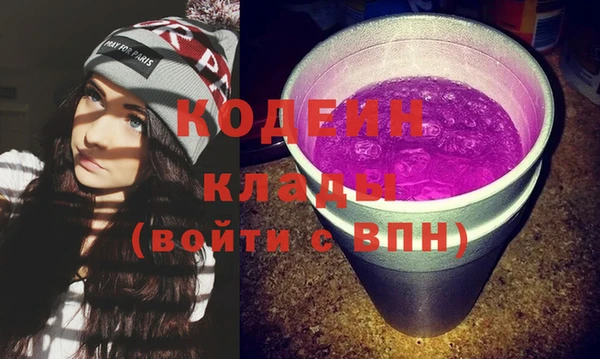 индика Осинники