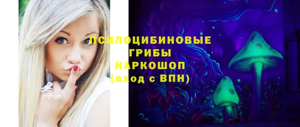 индика Осинники