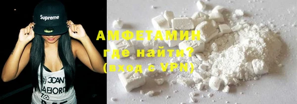 индика Осинники