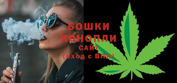 индика Осинники
