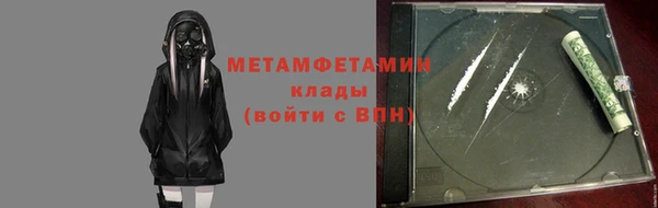 индика Осинники
