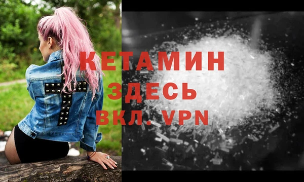 индика Осинники