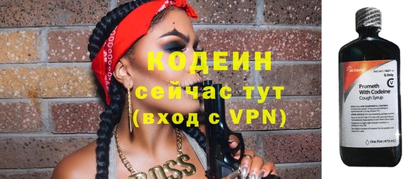 индика Осинники