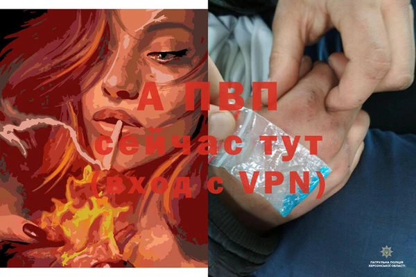 MESCALINE Осташков