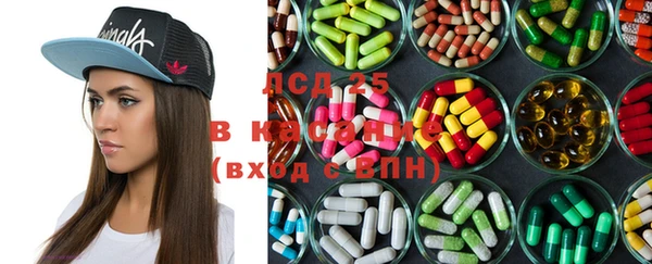 индика Осинники