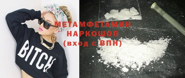 индика Осинники