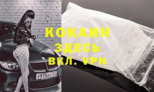 индика Осинники