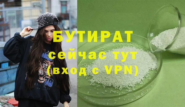 индика Осинники