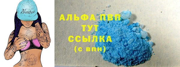 индика Осинники