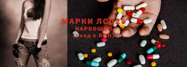 индика Осинники