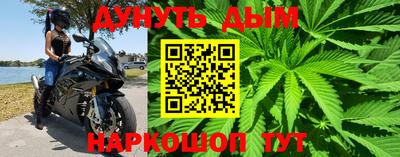 сатива Гусь-Хрустальный