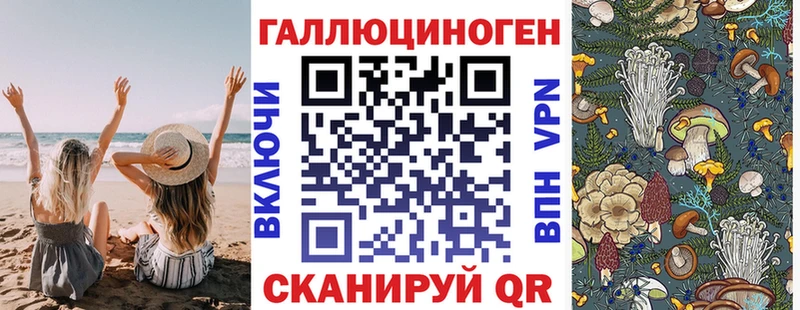 магазин продажи   Курганинск  Псилоцибиновые грибы Psilocybe 