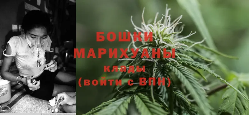 Шишки марихуана SATIVA & INDICA  где продают   Курганинск 